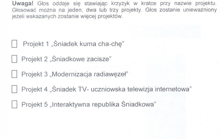 Szkoła Partycypacji – wyniki głosowania